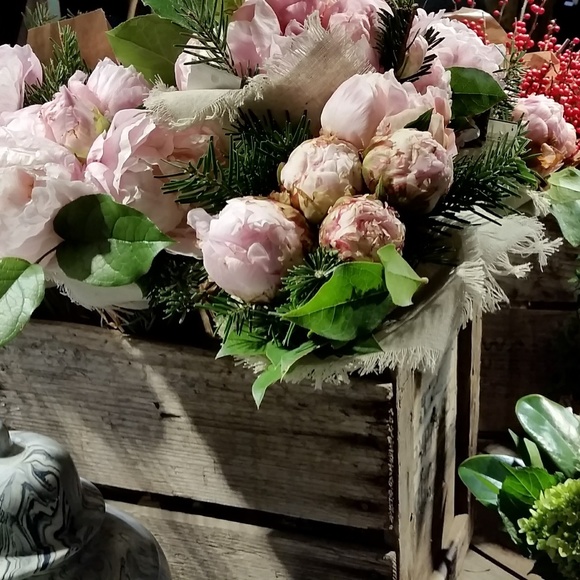 Meet your Posher, Tiny Adventure - Picture 6 of 6